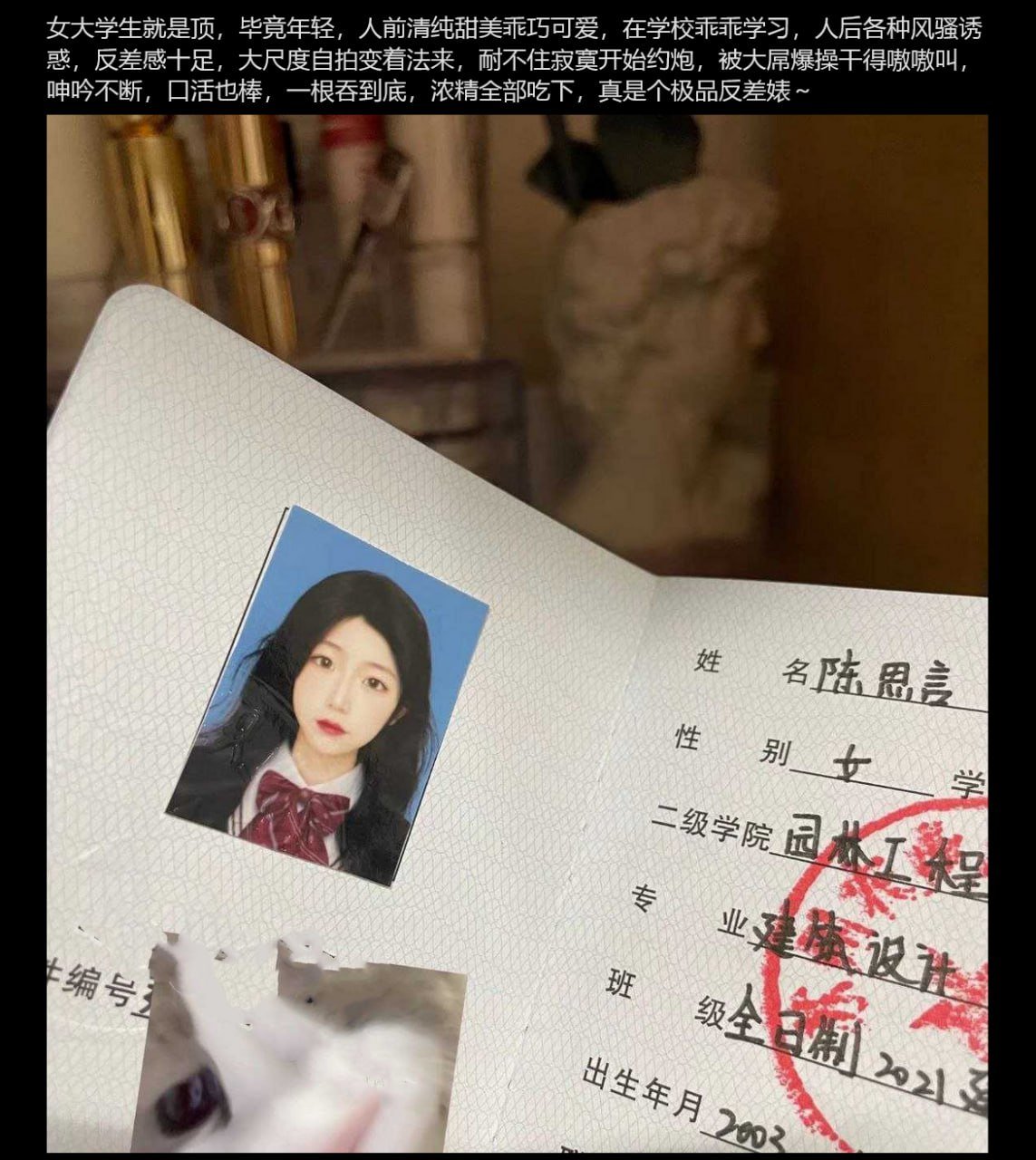 视频详情图 5 - 私房ACG - sifacg.com
