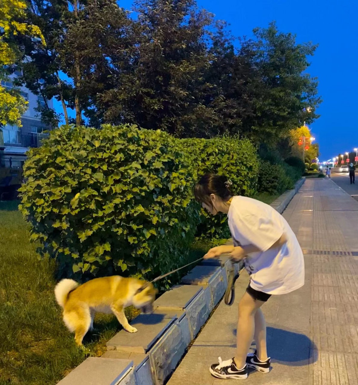 上海某大学毕业的大学生，谈了一个富二代男朋友，带去跳了一次伞，才成功搞到手。 - 私房ACG - sifacg.com