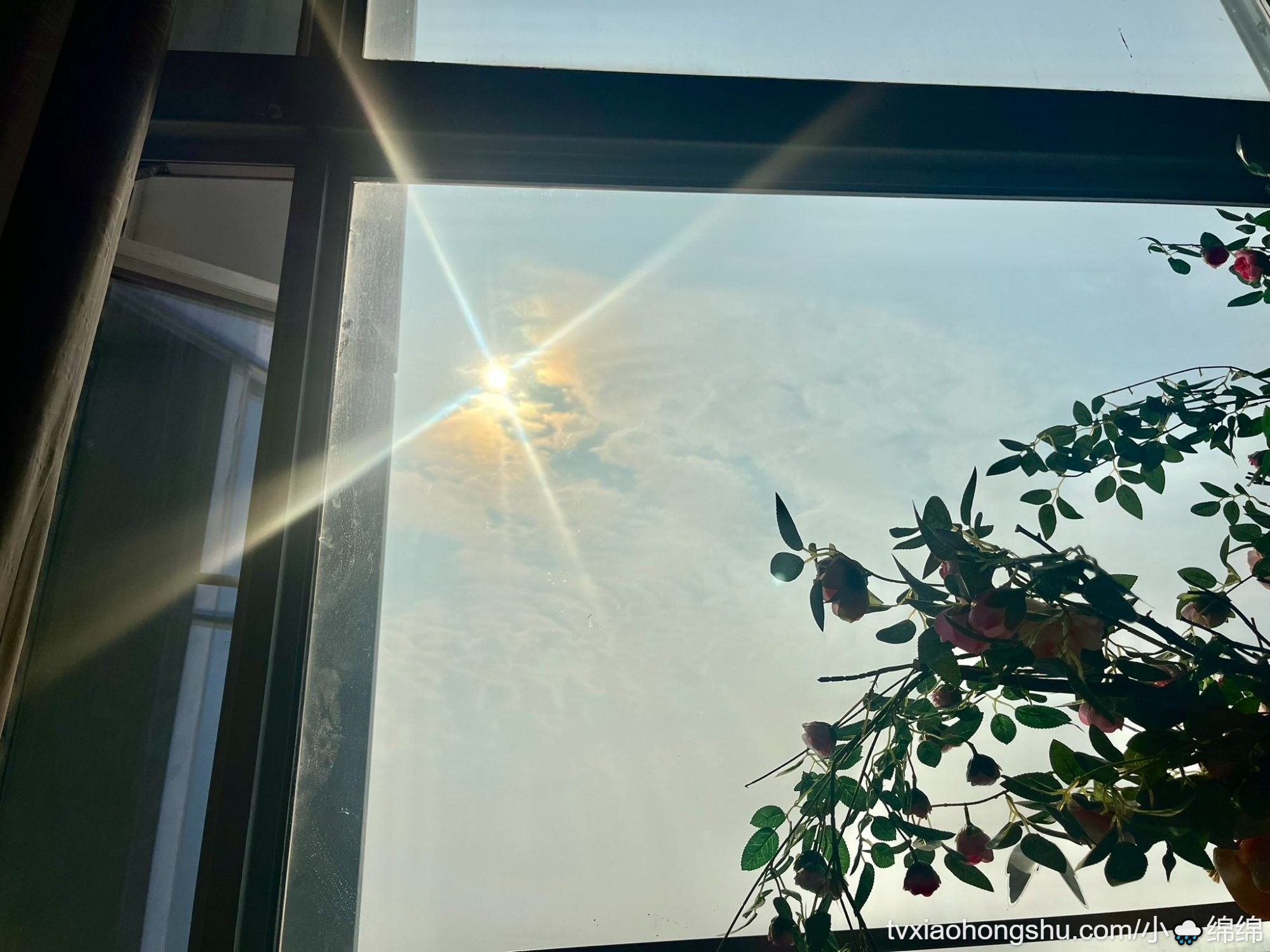 冬天晒太阳真的很舒服哎🥰 - 私房ACG - sifacg.com