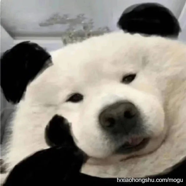 有点愁啊兄弟们 - 私房ACG - sifacg.com