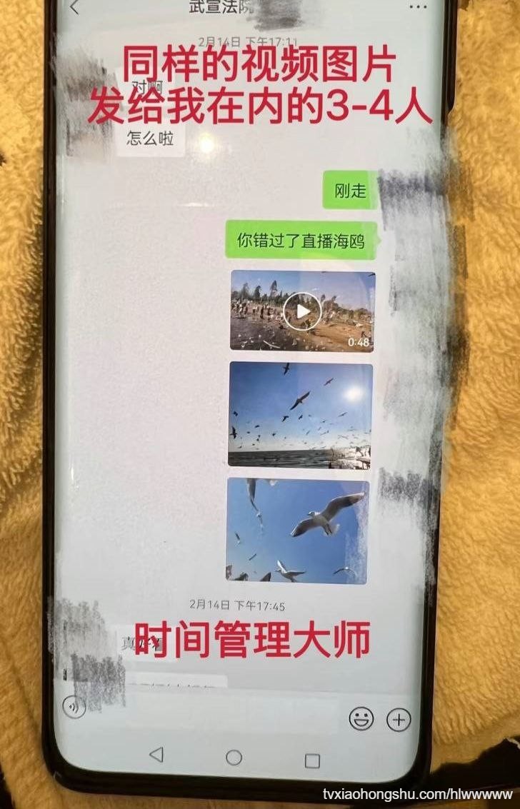 视频详情图 11 - 私房ACG - sifacg.com