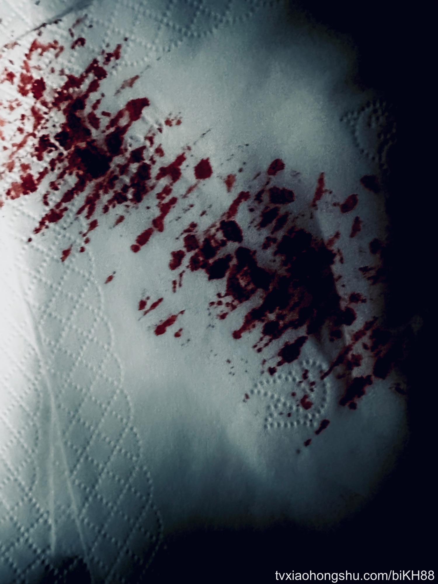 破戒了💀 - 私房ACG - sifacg.com