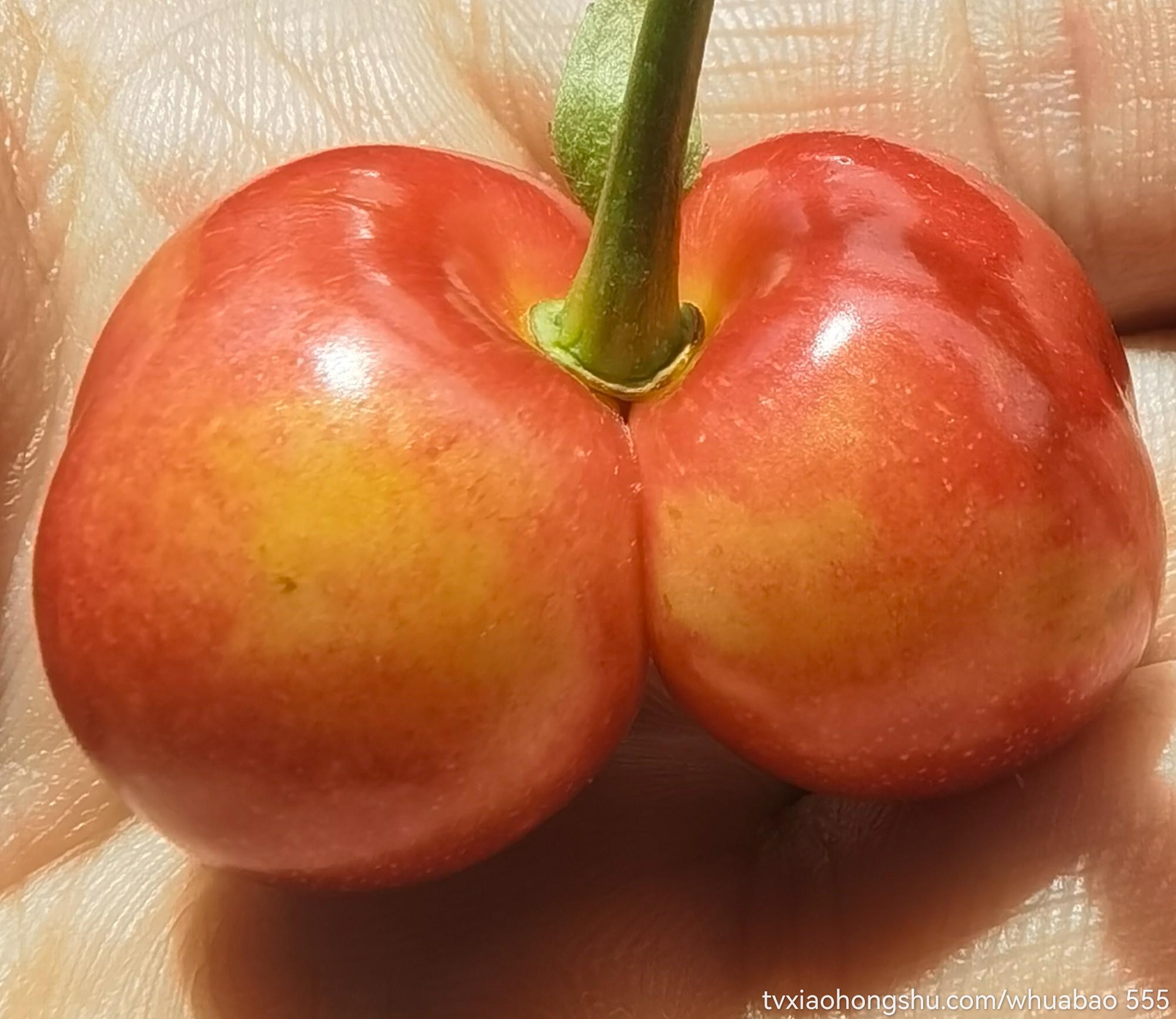 口  bb - 私房ACG - sifacg.com