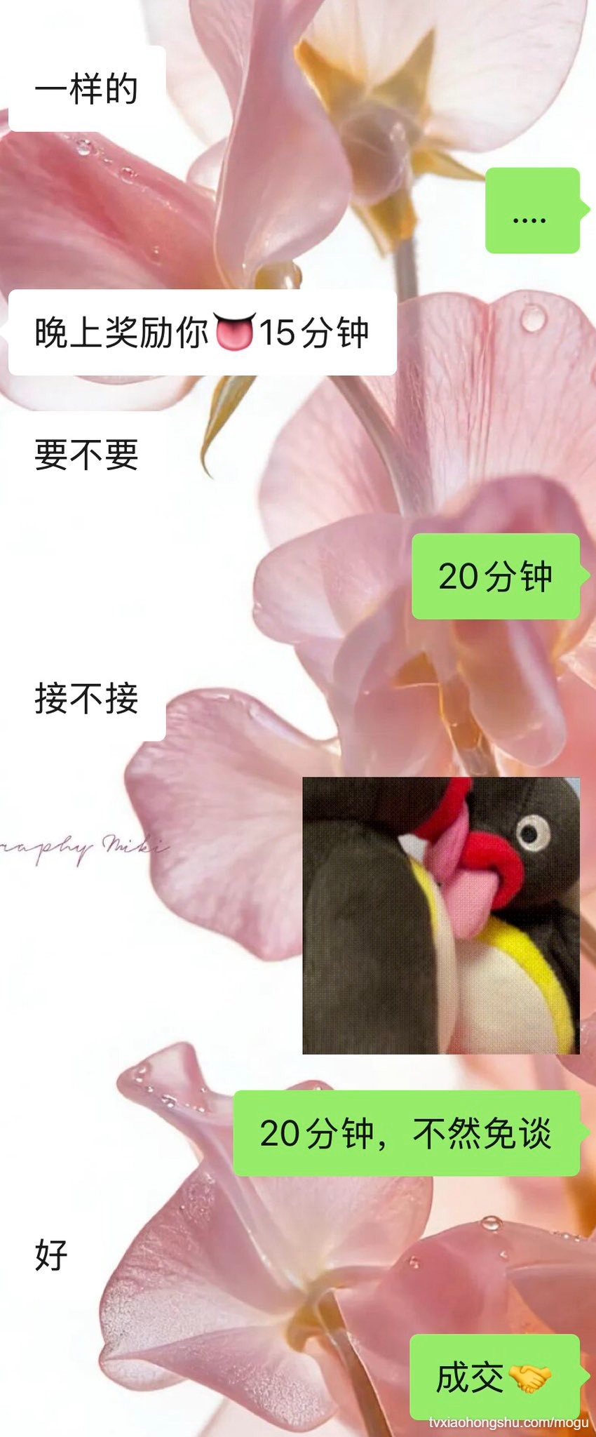 网友投稿：帮老公工作当然要有筹码呀嘻嘻 - 私房ACG - sifacg.com