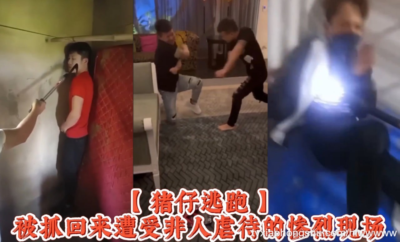 诈骗园区【 猪仔逃跑 】被抓回来遭受非人虐待 - 私房ACG - sifacg.com