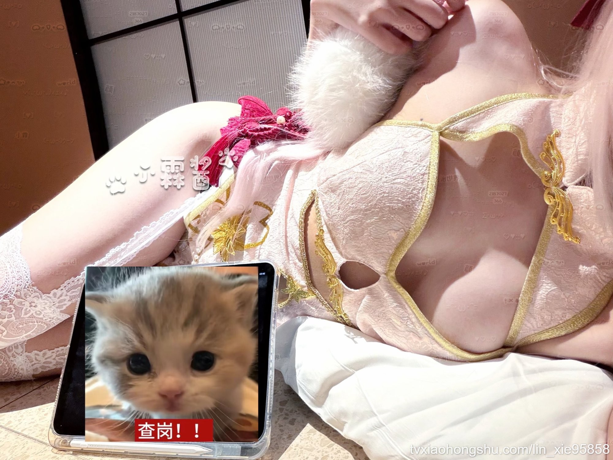 花月 - 私房ACG - sifacg.com