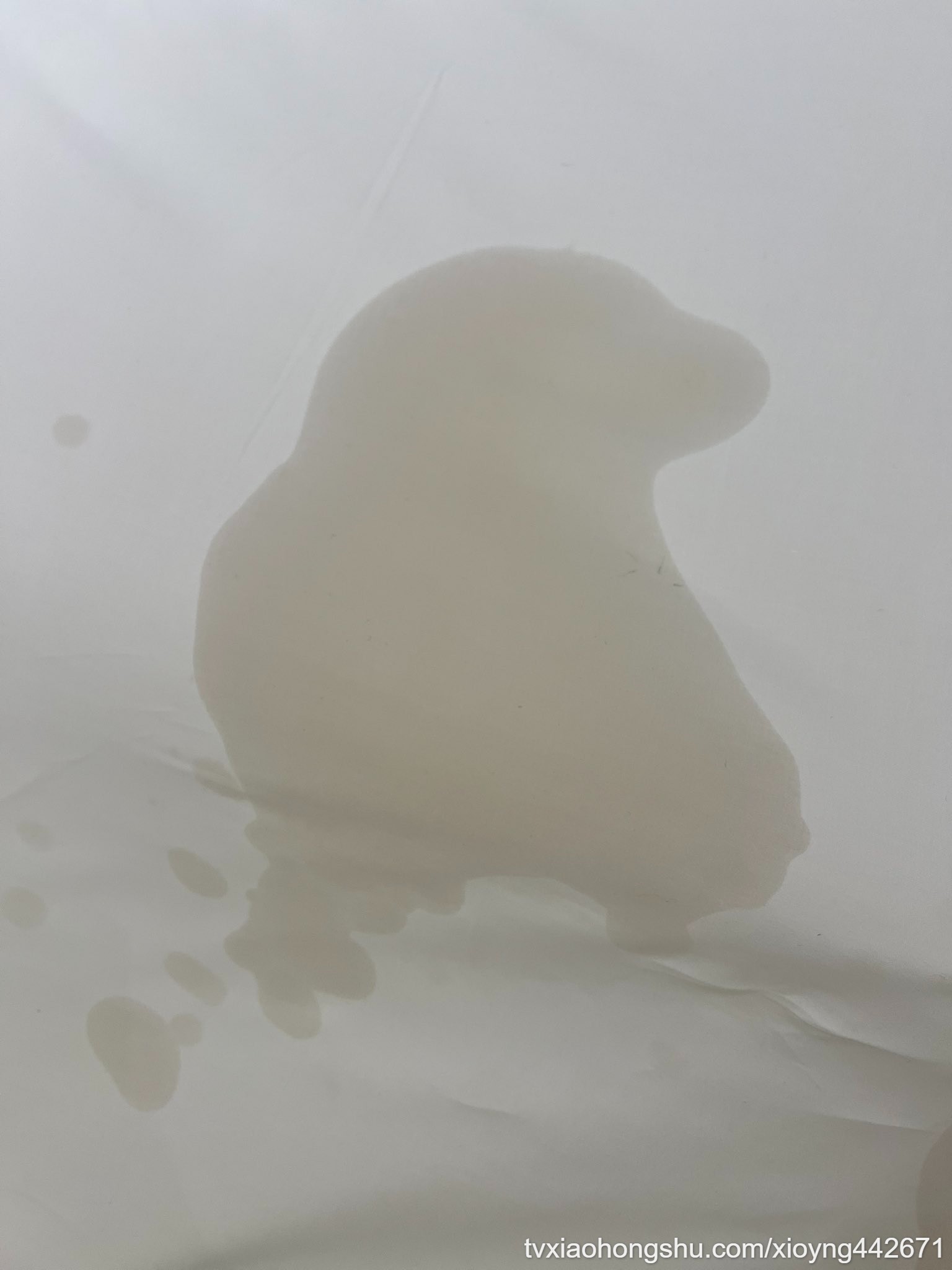 高潮喷出了一只鸟 - 私房ACG - sifacg.com