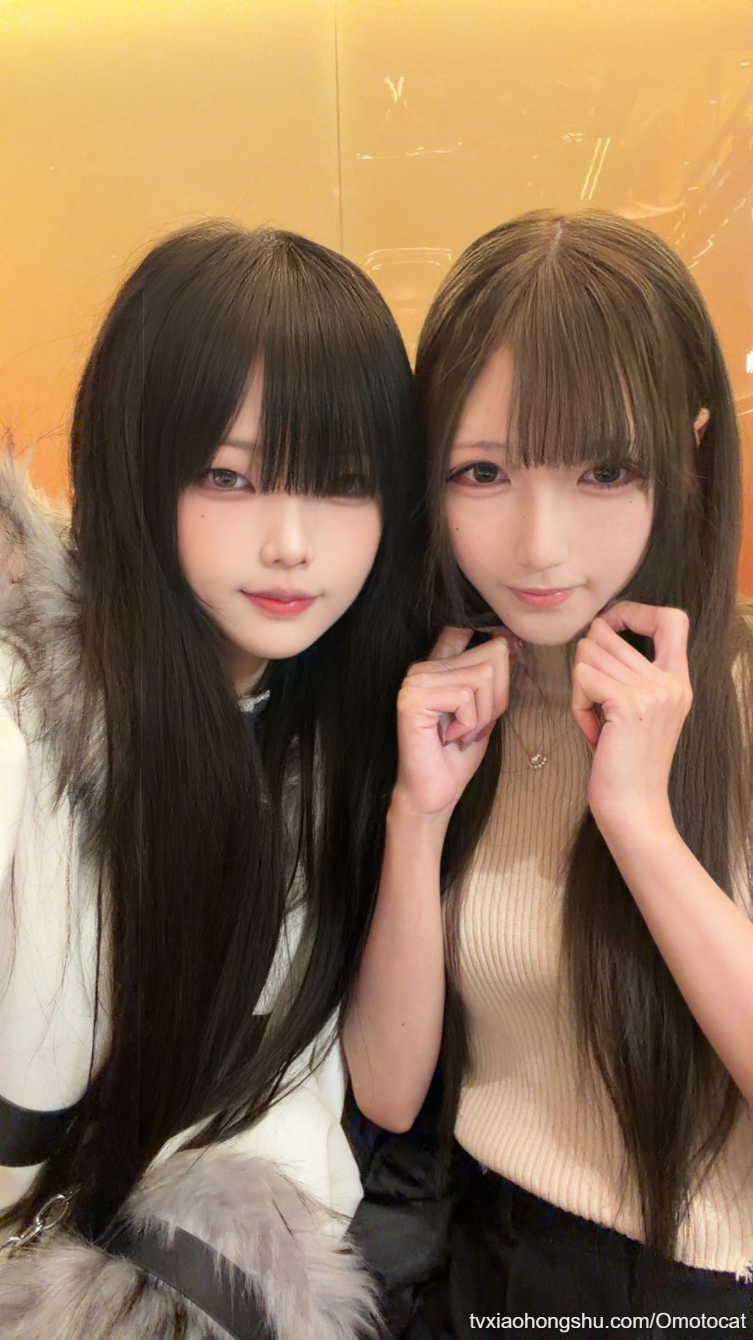 这是我主人 - 私房ACG - sifacg.com