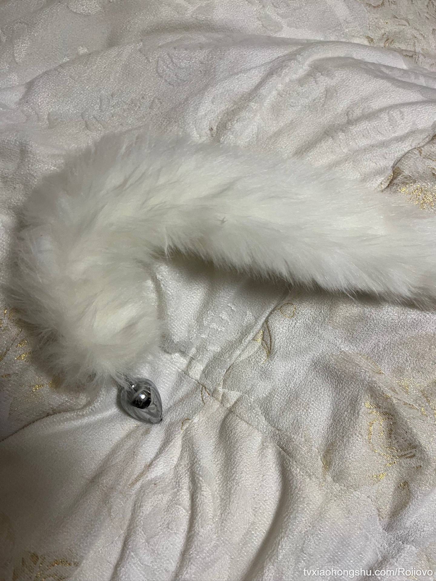 谁想看...? - 私房ACG - sifacg.com