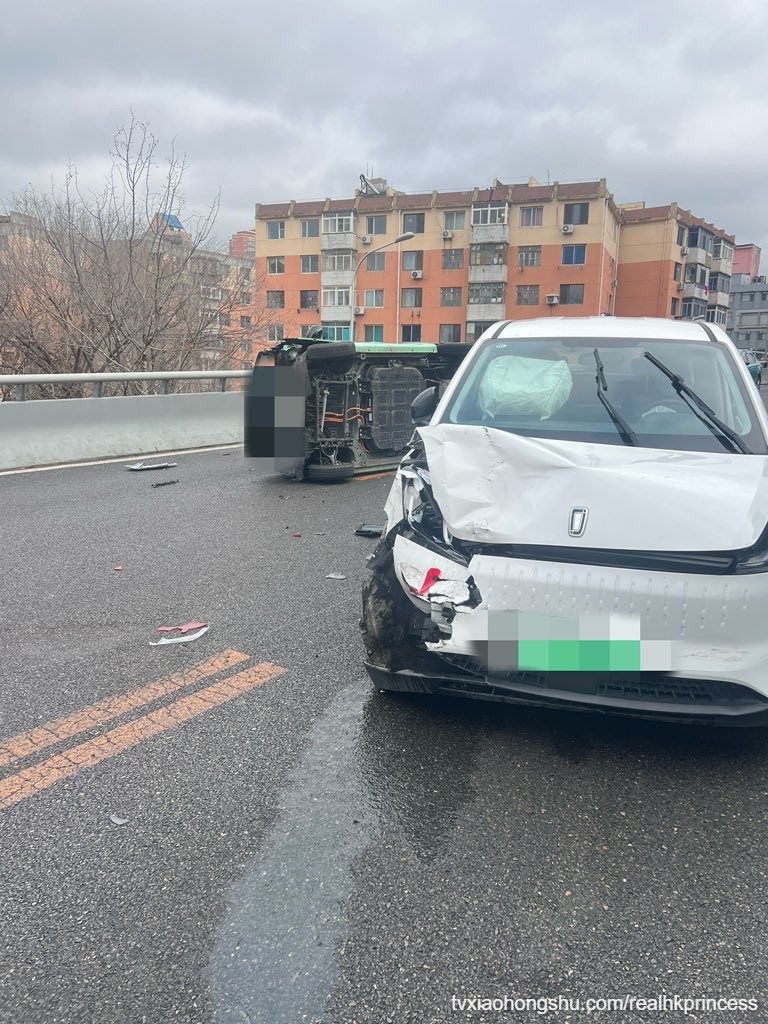 猫差点变成零件了 - 私房ACG - sifacg.com