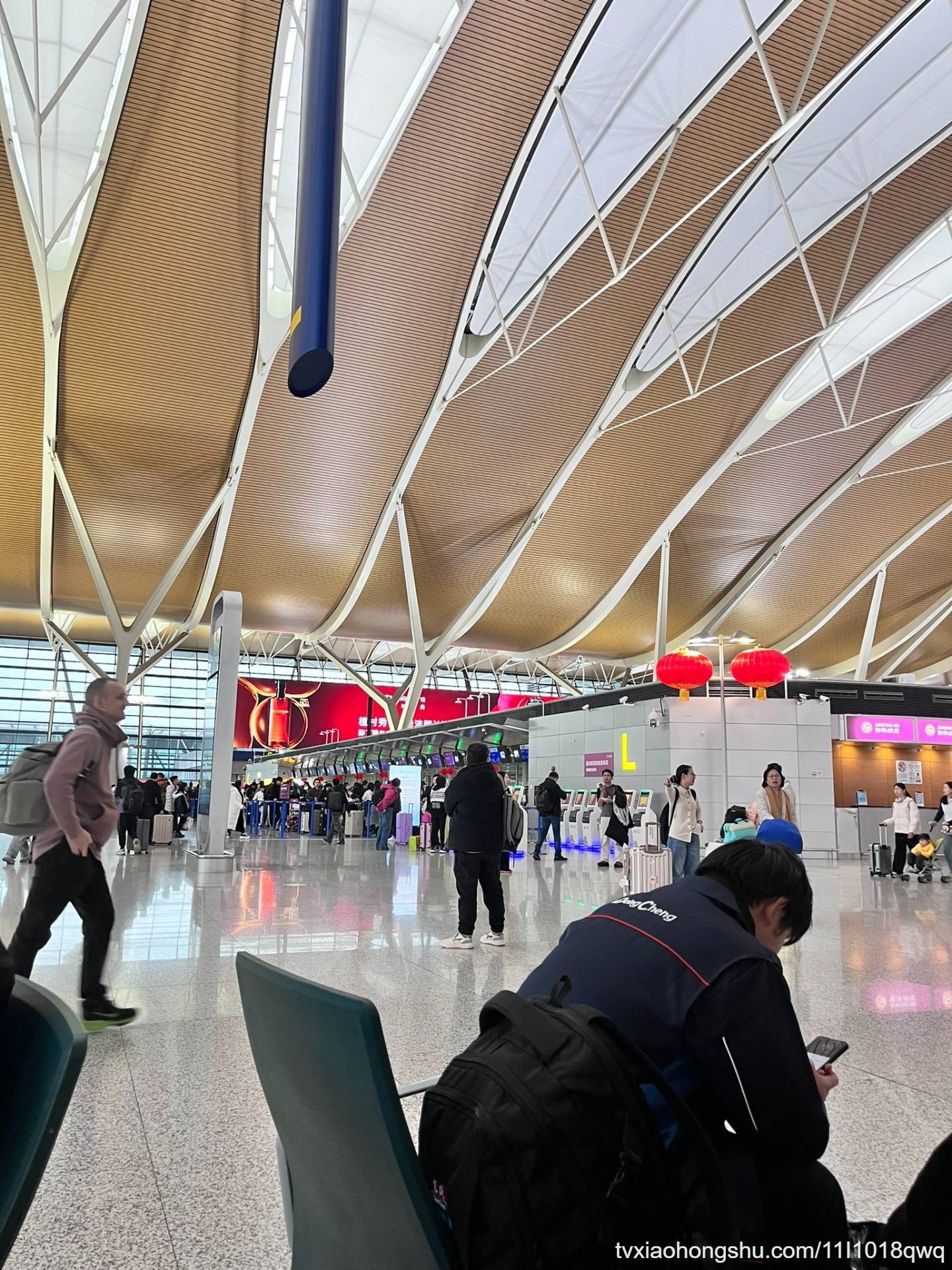 再见了上海，我再也不来了🙄💅🏿 - 私房ACG - sifacg.com