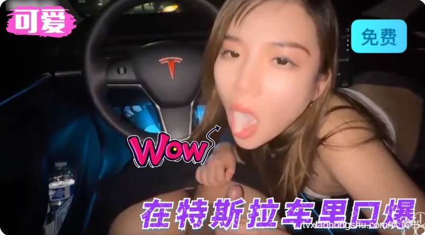 在特斯拉车里口爆 - 私房ACG - sifacg.com