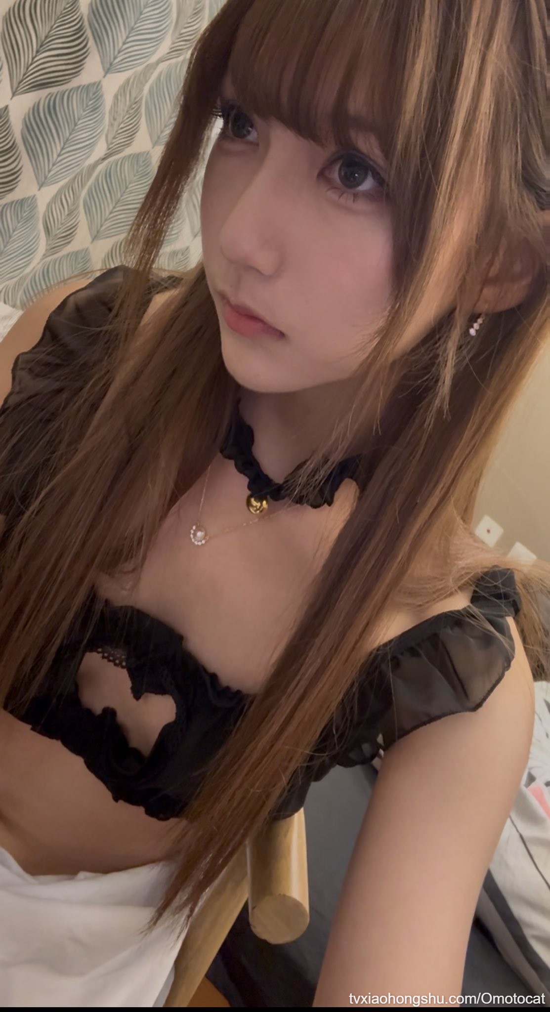 来入门呀哥哥们 - 私房ACG - sifacg.com