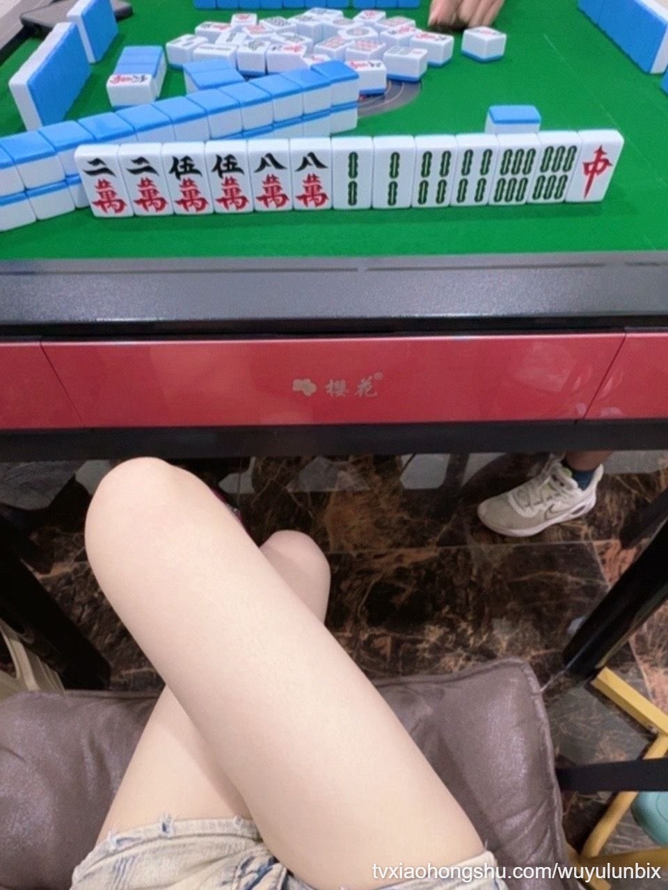 你们看你的咚咚锵我玩我的麻将 - 私房ACG - sifacg.com