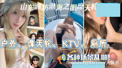 户外摩天轮厕所等各种场景乱啪！ - 私房ACG - sifacg.com