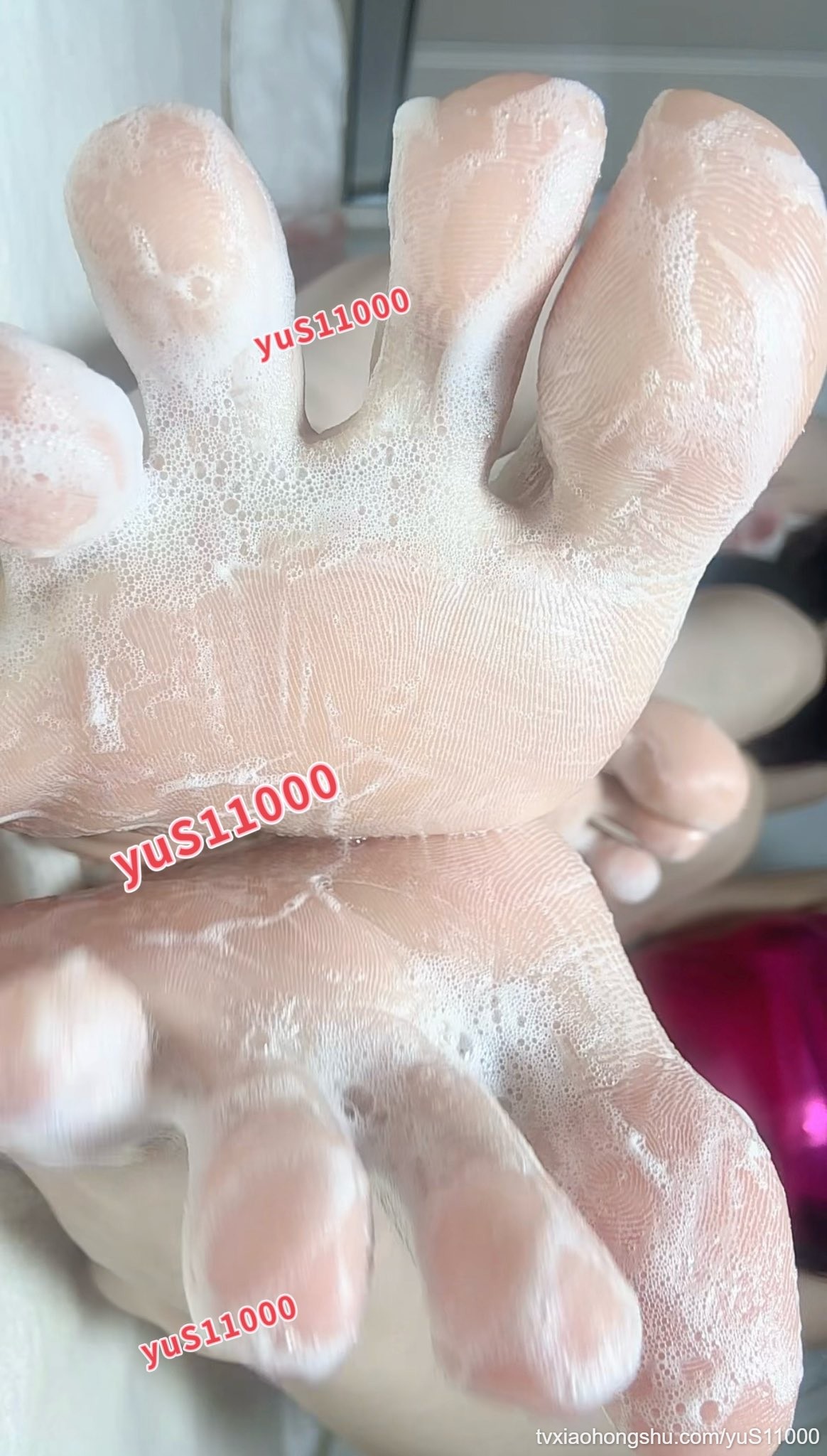 小狗们 - 私房ACG - sifacg.com