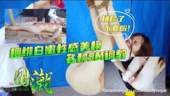最新高价购买捆绑白嫩性感美模各种SM调教美女不停哭喊小逼都被捅尿 - 私房ACG - sifacg.com