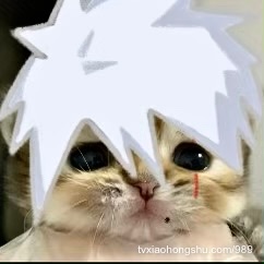 。 - 私房ACG - sifacg.com