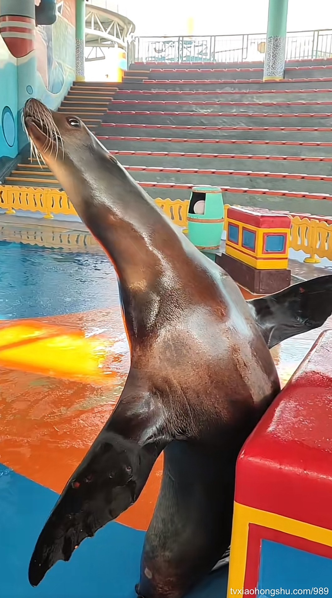 。 - 私房ACG - sifacg.com