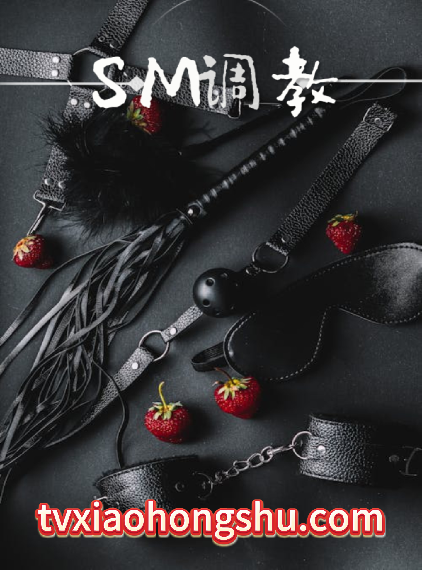 SM调教 - 私房ACG - sifacg.com